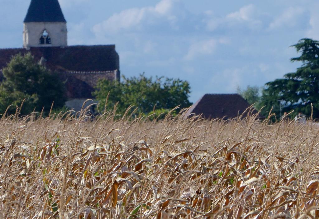 Ferienwohnung La Cachette de la Roche-Guyon Exterior foto